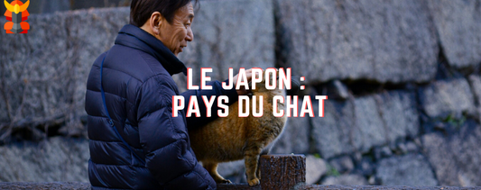 chat japon
