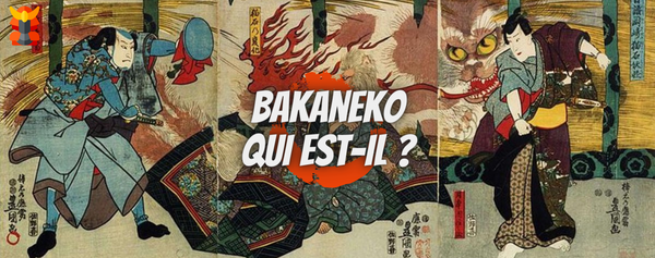 bakaneko japon