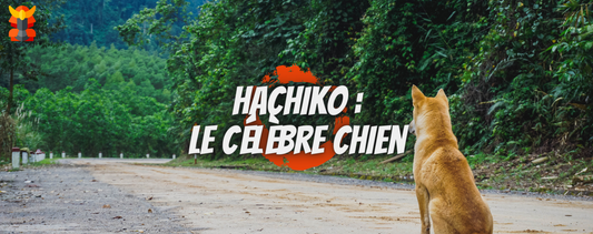 Hachiko : qui est ce célèbre chien ?